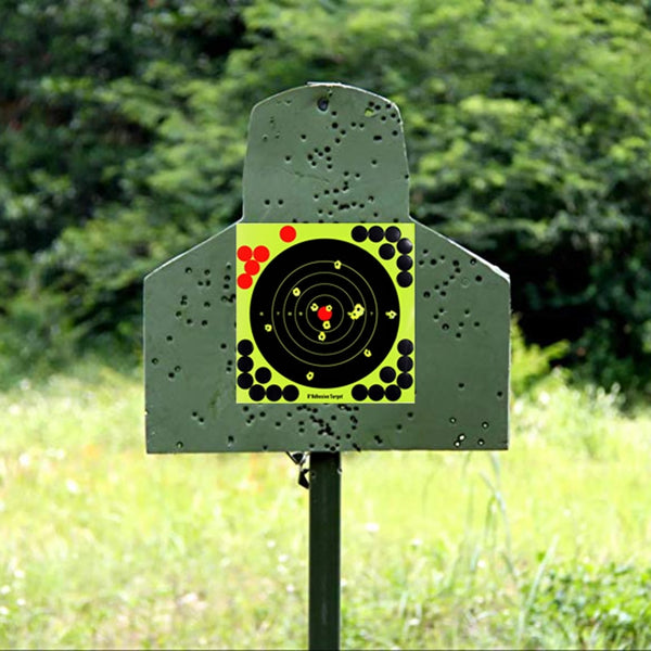 10pc 8inch Splatter Targets